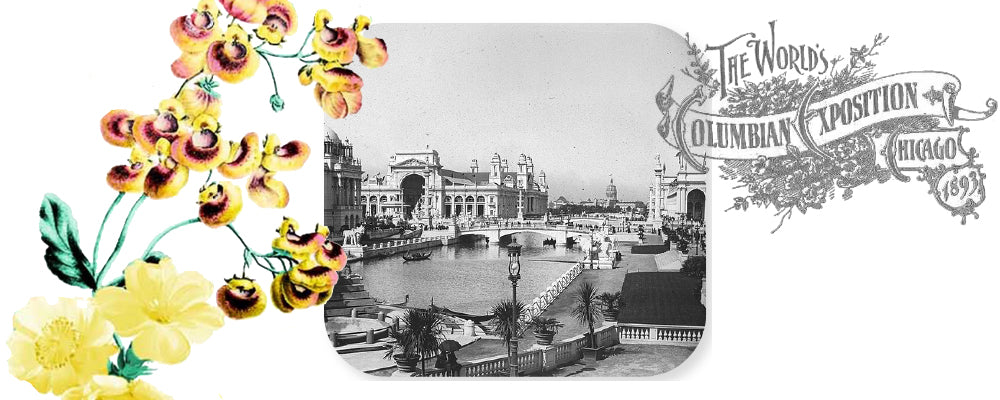 black and white photo of 1893 world's fair columbian exposition